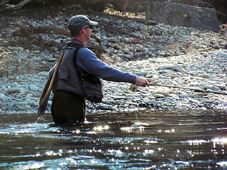 maggie valley fishing