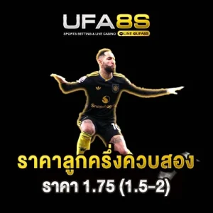 ราคาลูกครึ่งควบสอง